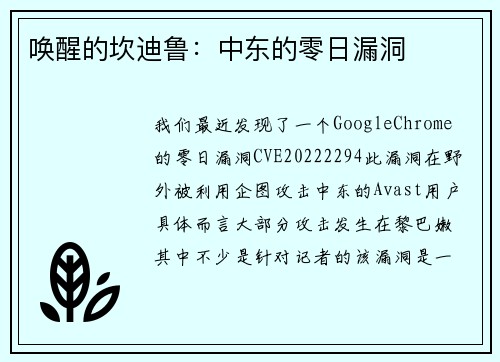 唤醒的坎迪鲁：中东的零日漏洞 